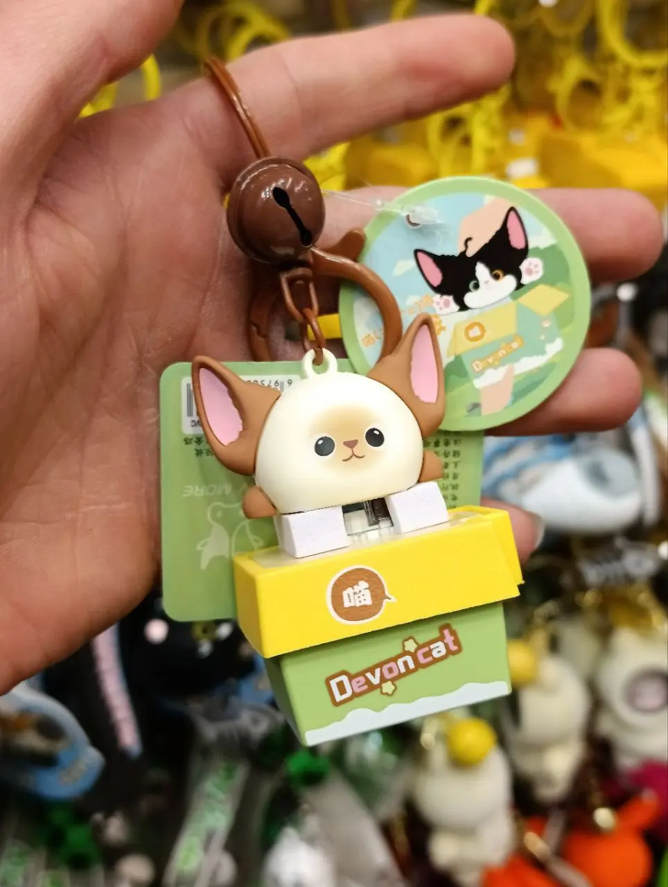 IMG_7746 جاسوییچی 12 - Image 1