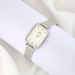 ساعت DW سیلور